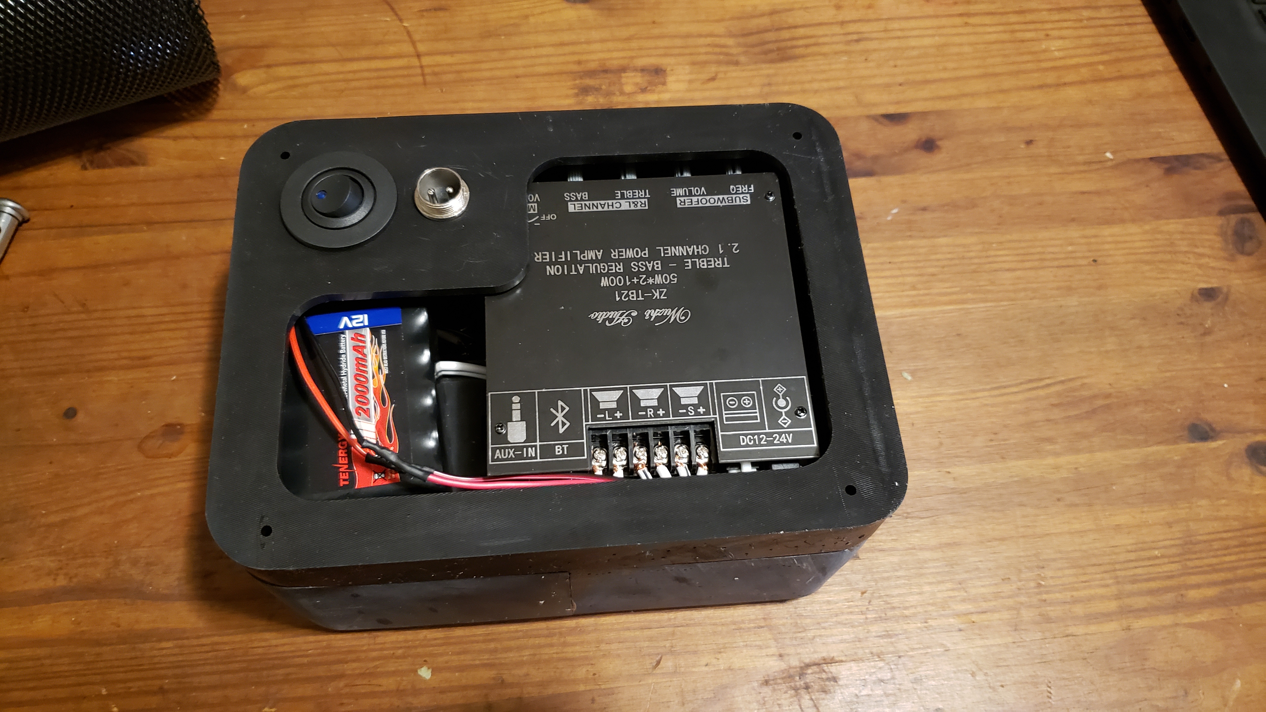Back panel with amp board and battery
