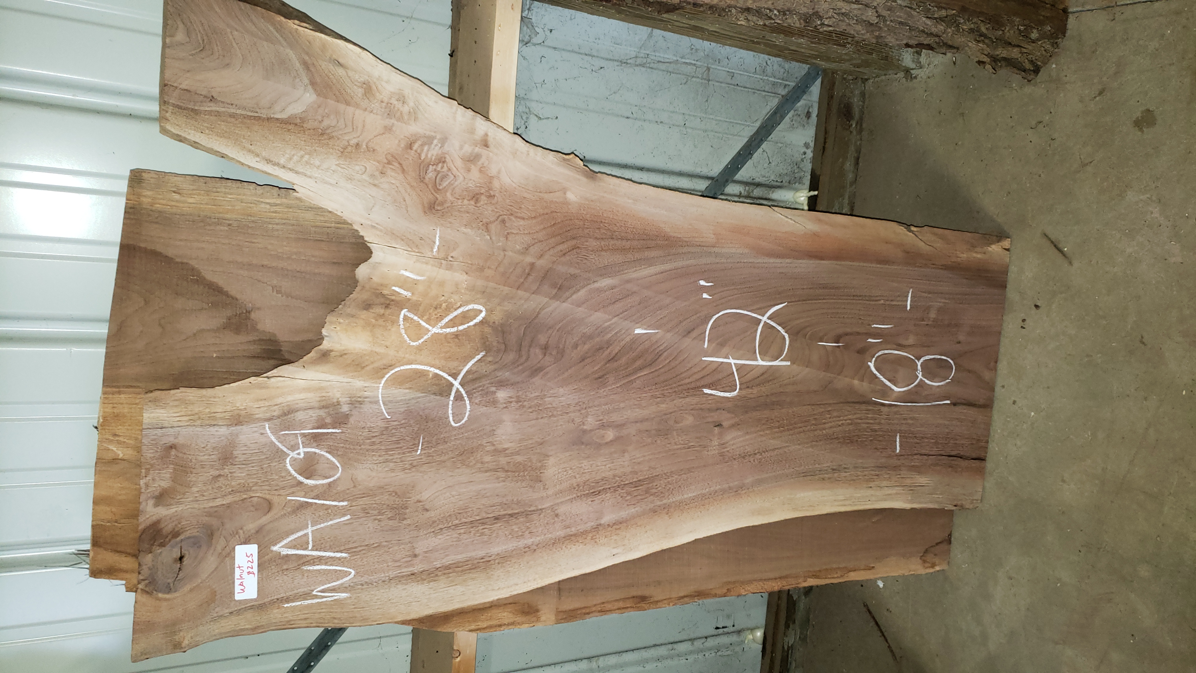 Walnut slab with dimensions marked